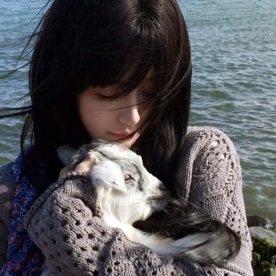 狗狗与我的十个约定